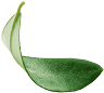 T.Oathan Biotech Co.,Ltd. | PILIPALA | XIAN XIAN | WEI WEI | CULI CULI
