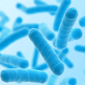 Probiotics